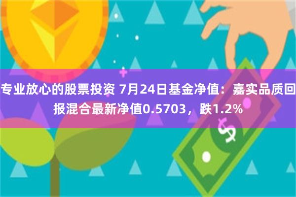 专业放心的股票投资 7月24日基金净值：嘉实品质回报混合最新净值0.5703，跌1.2%