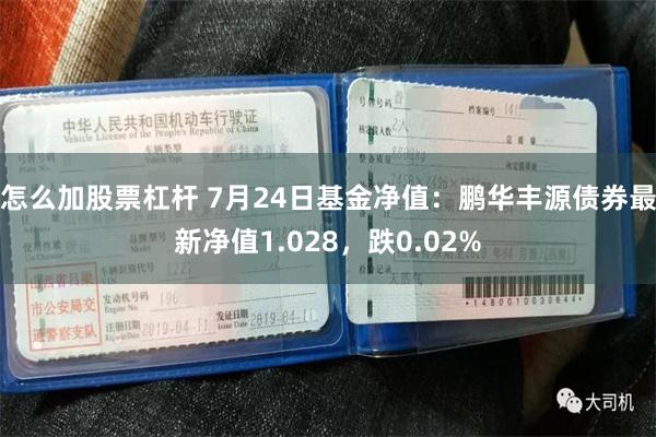 怎么加股票杠杆 7月24日基金净值：鹏华丰源债券最新净值1.028，跌0.02%