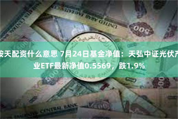 按天配资什么意思 7月24日基金净值：天弘中证光伏产业ETF最新净值0.5569，跌1.9%