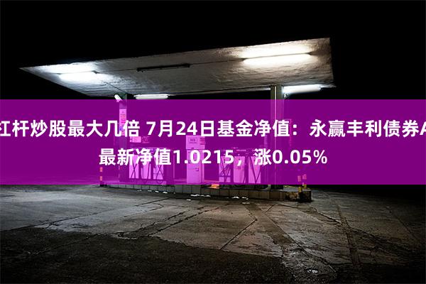 杠杆炒股最大几倍 7月24日基金净值：永赢丰利债券A最新净值1.0215，涨0.05%