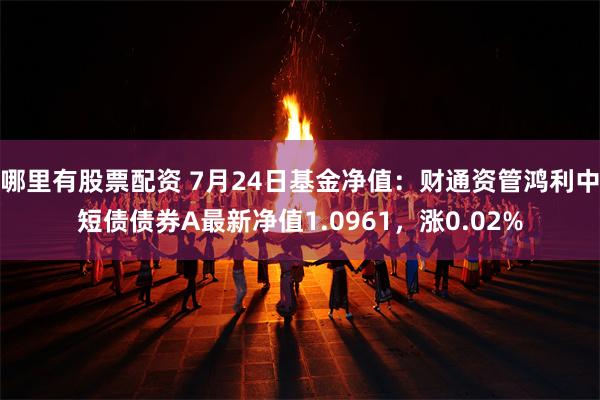 哪里有股票配资 7月24日基金净值：财通资管鸿利中短债债券A最新净值1.0961，涨0.02%