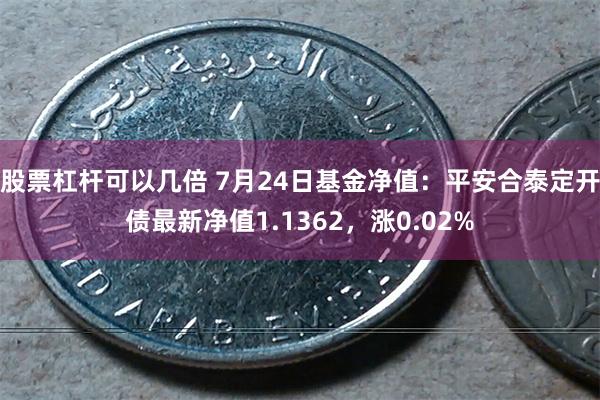 股票杠杆可以几倍 7月24日基金净值：平安合泰定开债最新净值1.1362，涨0.02%