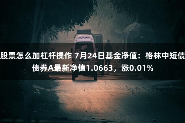 股票怎么加杠杆操作 7月24日基金净值：格林中短债债券A最新净值1.0663，涨0.01%