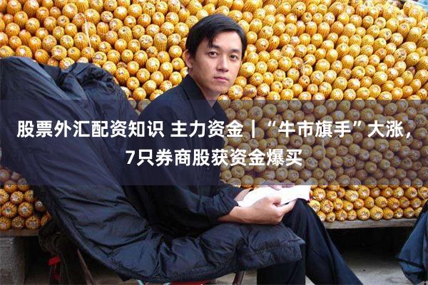 股票外汇配资知识 主力资金｜“牛市旗手”大涨，7只券商股获资金爆买