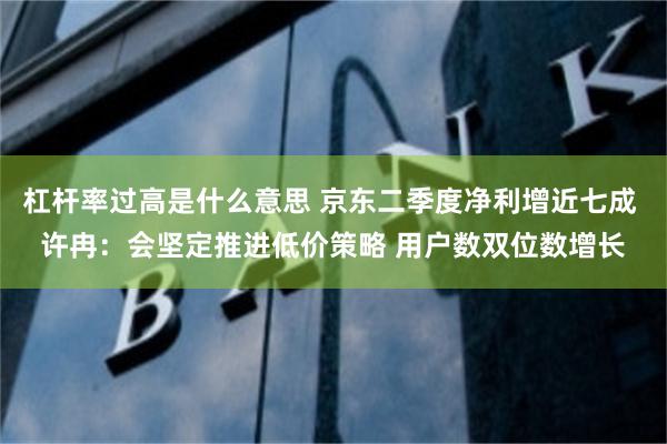 杠杆率过高是什么意思 京东二季度净利增近七成 许冉：会坚定推进低价策略 用户数双位数增长