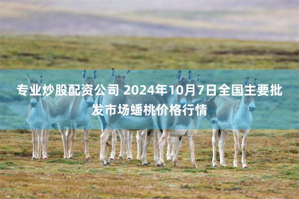 专业炒股配资公司 2024年10月7日全国主要批发市场蟠桃价格行情