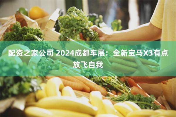 配资之家公司 2024成都车展：全新宝马X3有点放飞自我