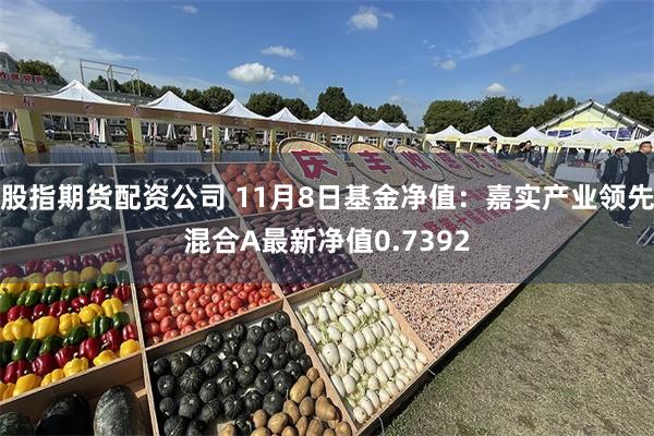 股指期货配资公司 11月8日基金净值：嘉实产业领先混合A最新净值0.7392