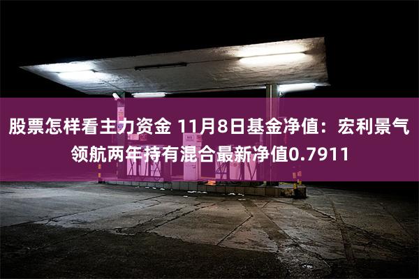 股票怎样看主力资金 11月8日基金净值：宏利景气领航两年持有混合最新净值0.7911