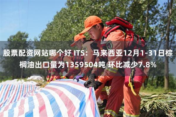 股票配资网站哪个好 ITS：马来西亚12月1-31日棕榈油出口量为1359504吨 环比减少7.8%