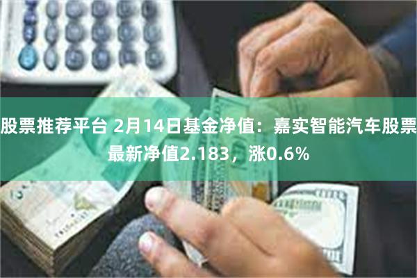 股票推荐平台 2月14日基金净值：嘉实智能汽车股票最新净值2.183，涨0.6%