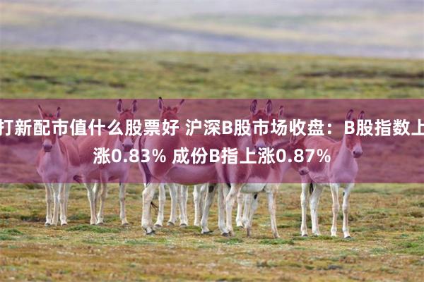 打新配市值什么股票好 沪深B股市场收盘：B股指数上涨0.83% 成份B指上涨0.87%