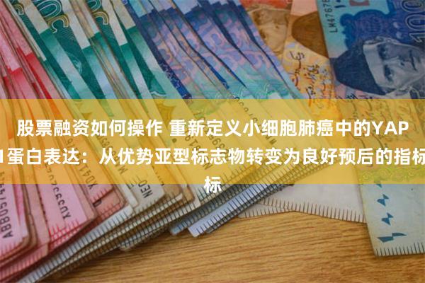 股票融资如何操作 重新定义小细胞肺癌中的YAP1蛋白表达：从优势亚型标志物转变为良好预后的指标